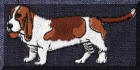 Cool Creations Embroidery Designs - Dogs and puppies, Basset