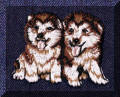 Cool Creations Embroidery Designs - Cute puppies