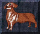 Cool Creations Embroidery Designs - Dogs and puppies, Dog