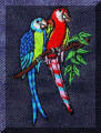 Cool Creations Embroidery Designs - Two parrots