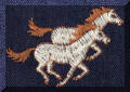Cool Creations Embroidery Designs - Camargue horses