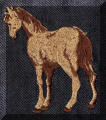 Cool Creations Embroidery Designs - Brown horse