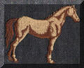 Cool Creations Embroidery Designs - Brown horse