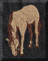 Cool Creations Embroidery Designs - Brown horse eating