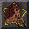 Cool Creations Embroidery Designs - Brown horse in star