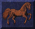 Cool Creations Embroidery Designs - Horse