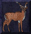 Cool Creations Embroidery Designs, wild animals - Kudu