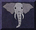 Cool Creations Embroidery Designs - Elephant up front