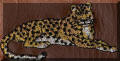 Cool Creations Embroidery Designs, wild animals - Leopard