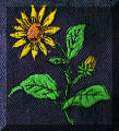 Beautiful embroidery designs by Cool Creations - Daisy