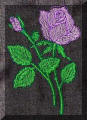 Beautiful embroidery designs by Cool Creations - Rose and rose-bud