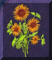 Beautiful embroidery designs by Cool Creations -Sunflowers