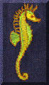 Cool Creations Embroidery Designs - Bright green and yellow seahorse