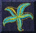 Cool Creations Embroidery Designs - Blue-yellow starfish