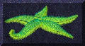 Cool Creations Embroidery Designs - Green starfish